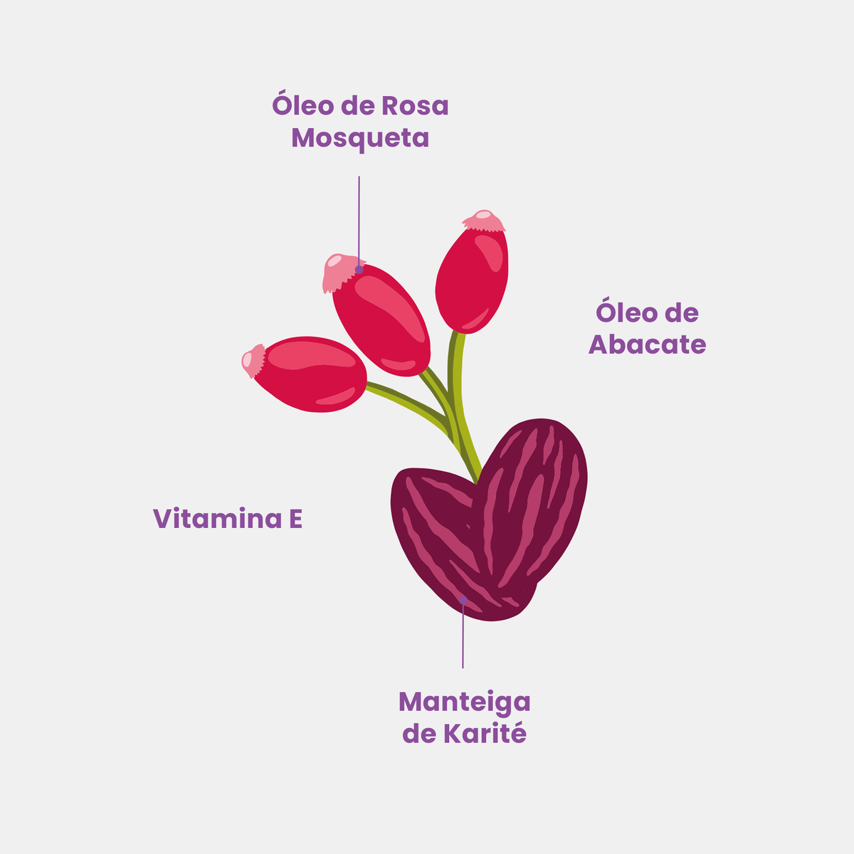 Barriguinha Cream Antiestrias