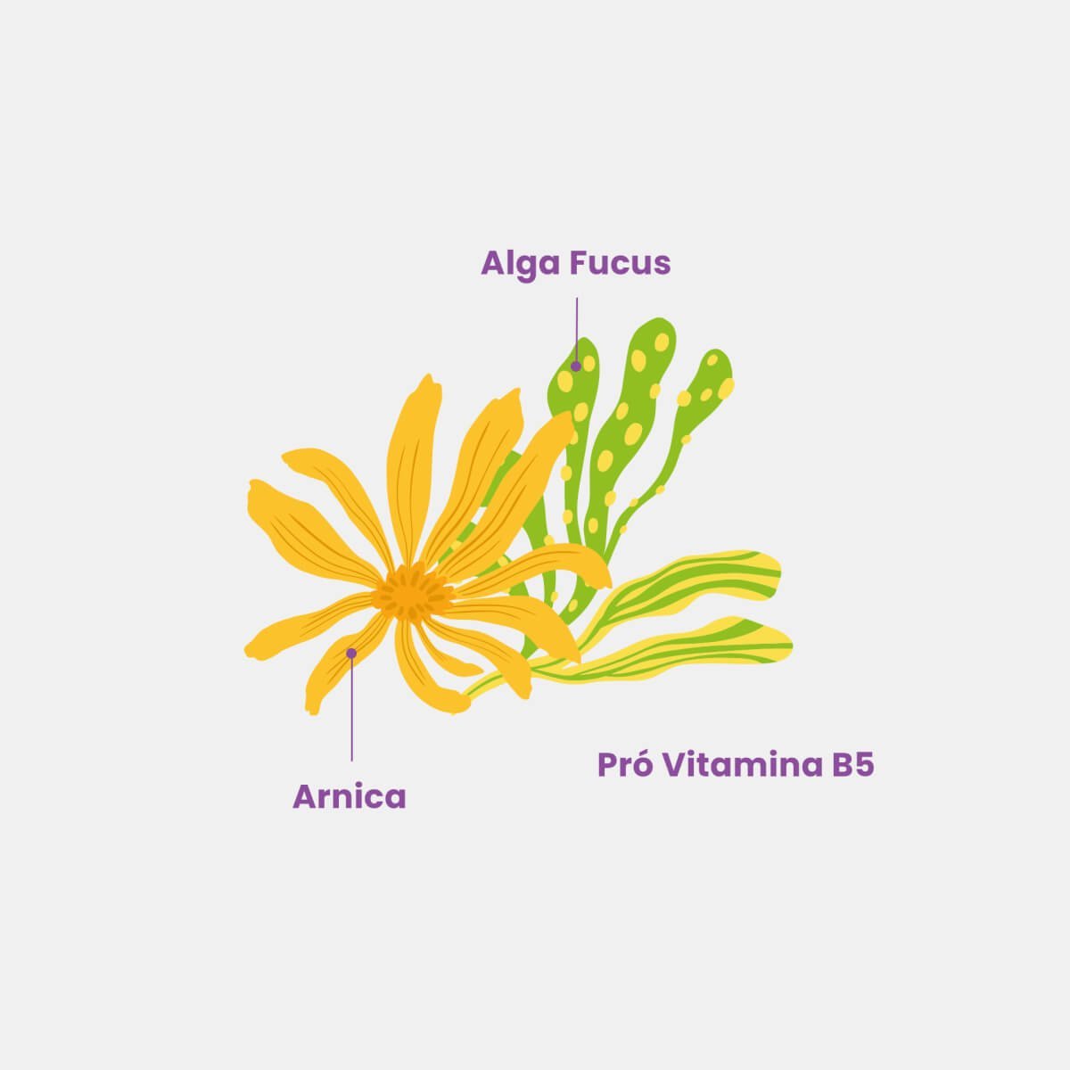 Esfoliante Corporal Esfrega Travel Size